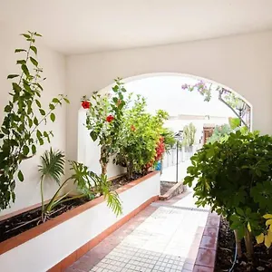 https://1-bedroom-apartment-for-4-people-in-tenerife.tenerifehoteles.net